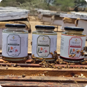 Honey jars on hive
